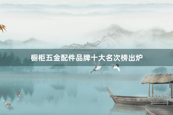 橱柜五金配件品牌十大名次榜出炉