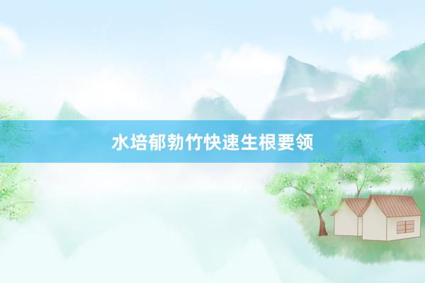 水培郁勃竹快速生根要领