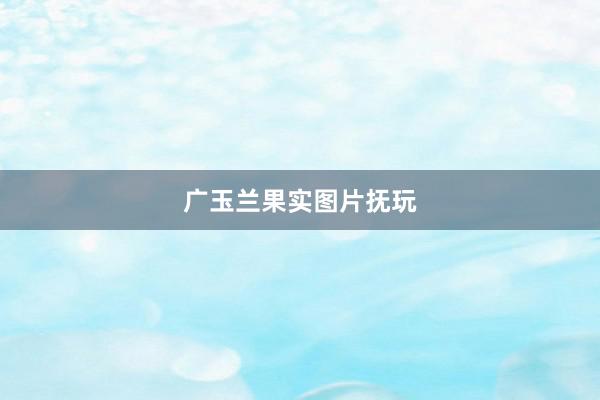广玉兰果实图片抚玩