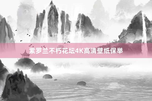 紫罗兰不朽花坛4K高清壁纸保举