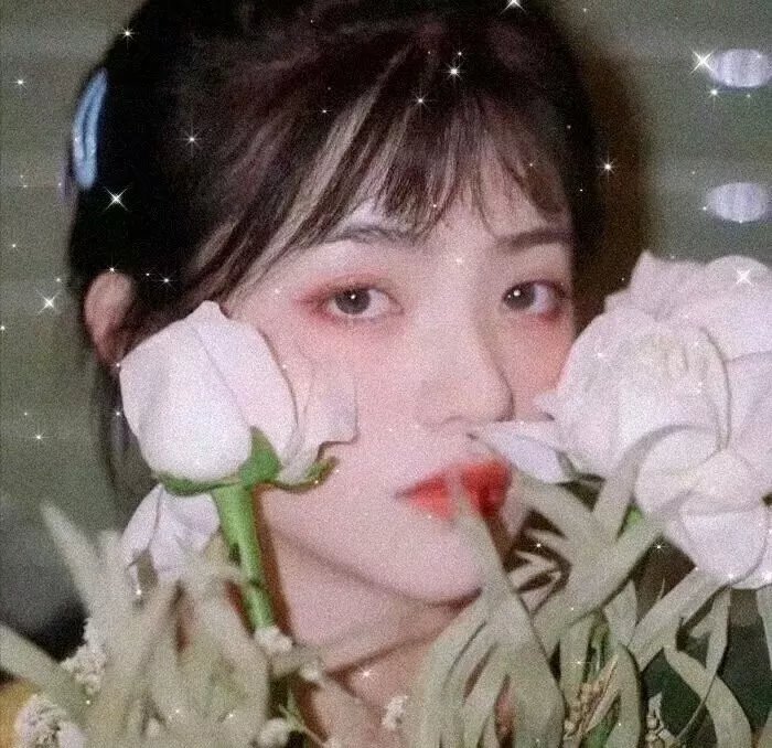 月之心